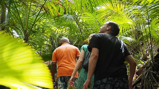 Walking through nature trails in Seychelles 